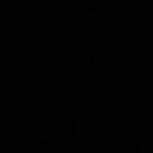 Meet your Posher, Ben